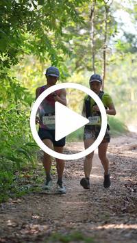 BIB:  <button type="button" onclick="openModal(27626456)" class="btn btn-primary btn-sm float-right" data-toggle="modal" data-target=".modal-high-quality">
                <i class="fa fa-download"></i> Download
                </button>